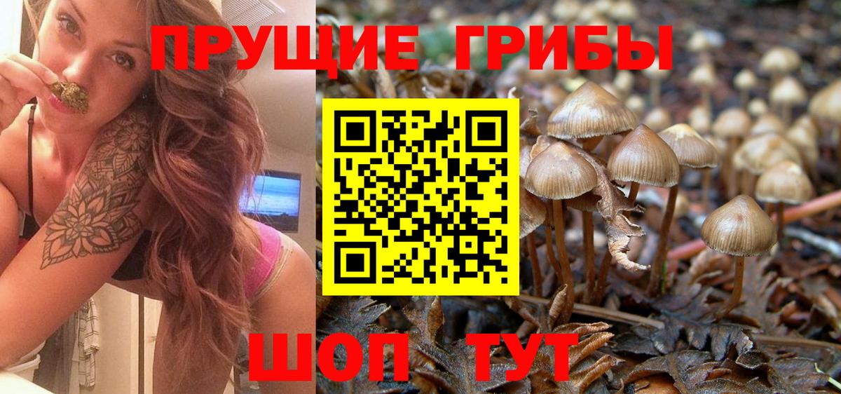 Псилоцибиновые грибы мицелий  Вход с VPN  Саров 